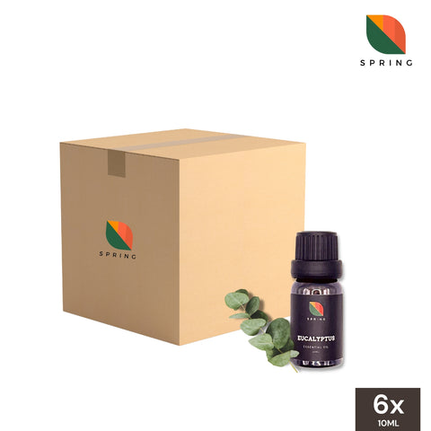 Spring Essential Oil Eucalyptus 10mL - Wholesale (6 Bottles)