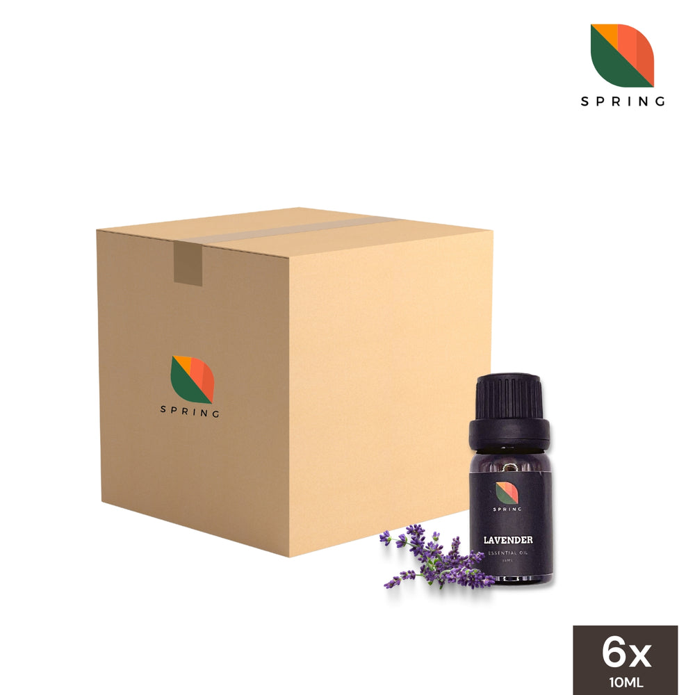 Spring Essential Oil Lavender 10mL - Wholesale (6 Bottles)