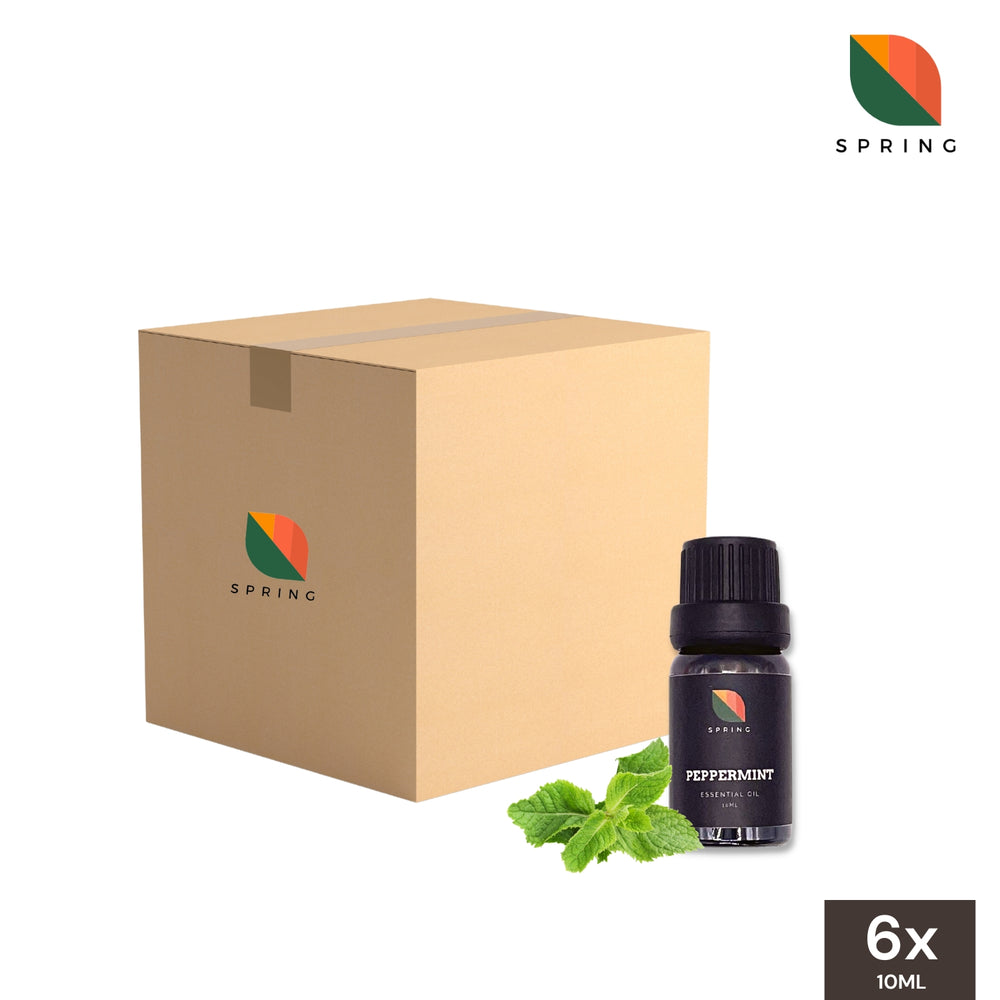 Spring Essential Oil Peppermint 10mL - Wholesale (6 Bottles)