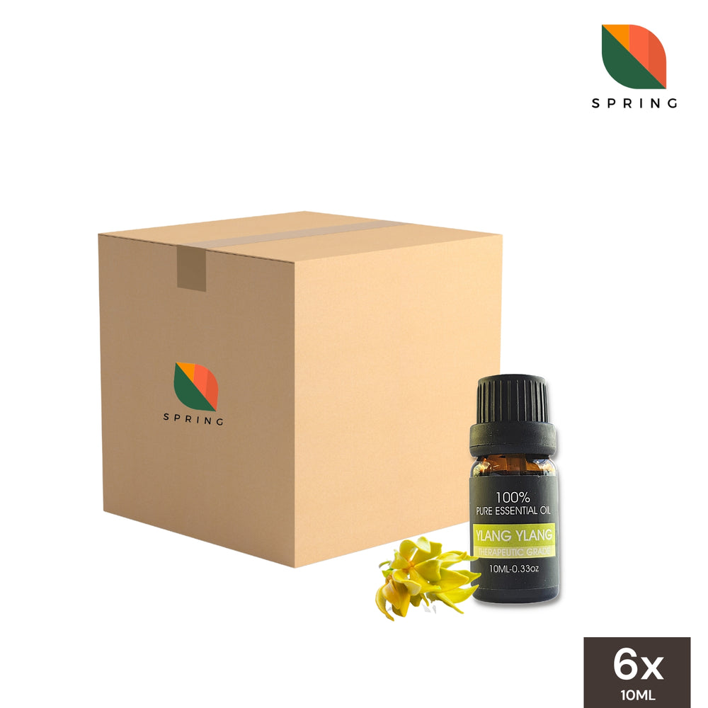 Spring Essential Oil Ylang Ylang 10mL - Wholesale (6 Bottles)