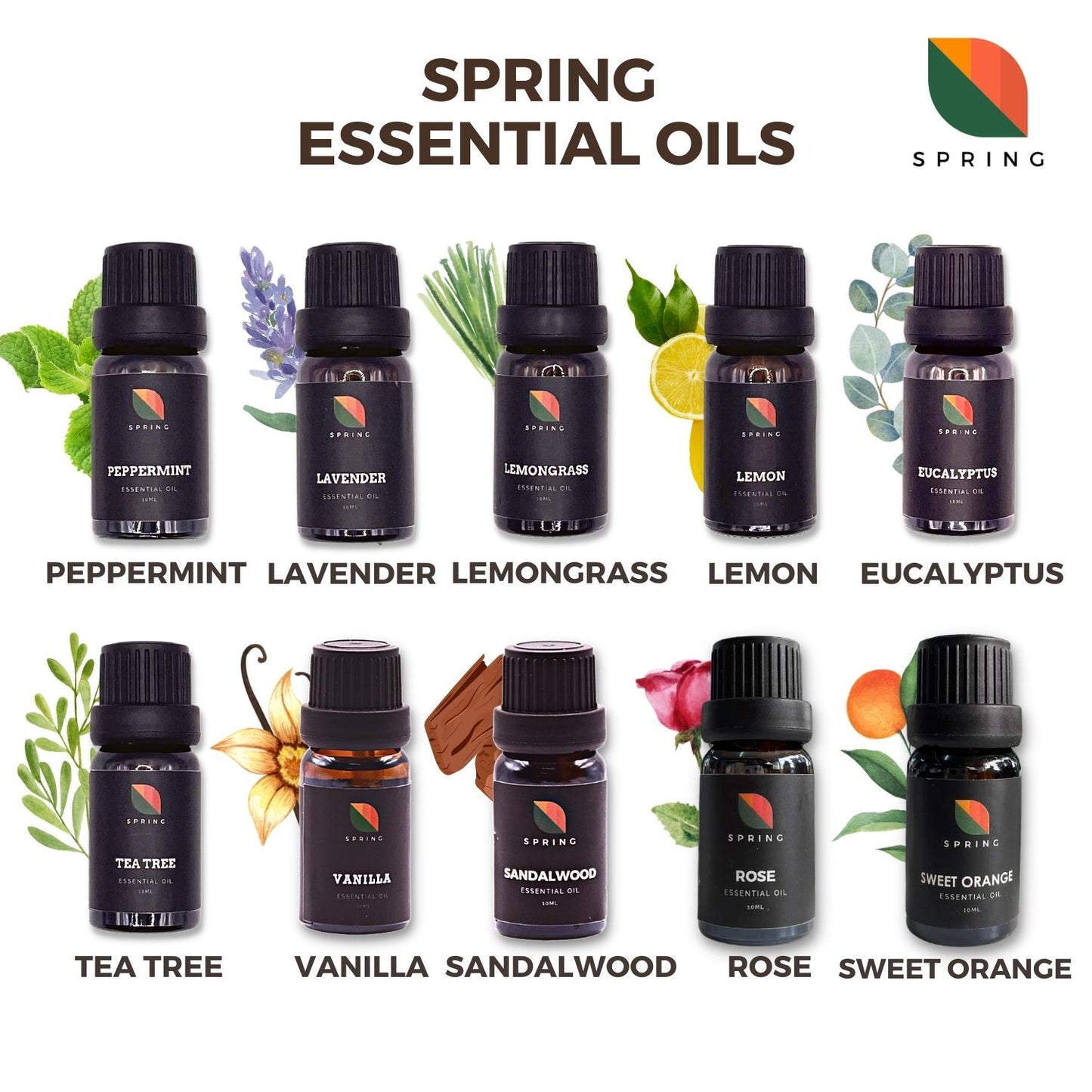 
                  
                    Spring Essential Oil Sweet Orange 10mL
                  
                