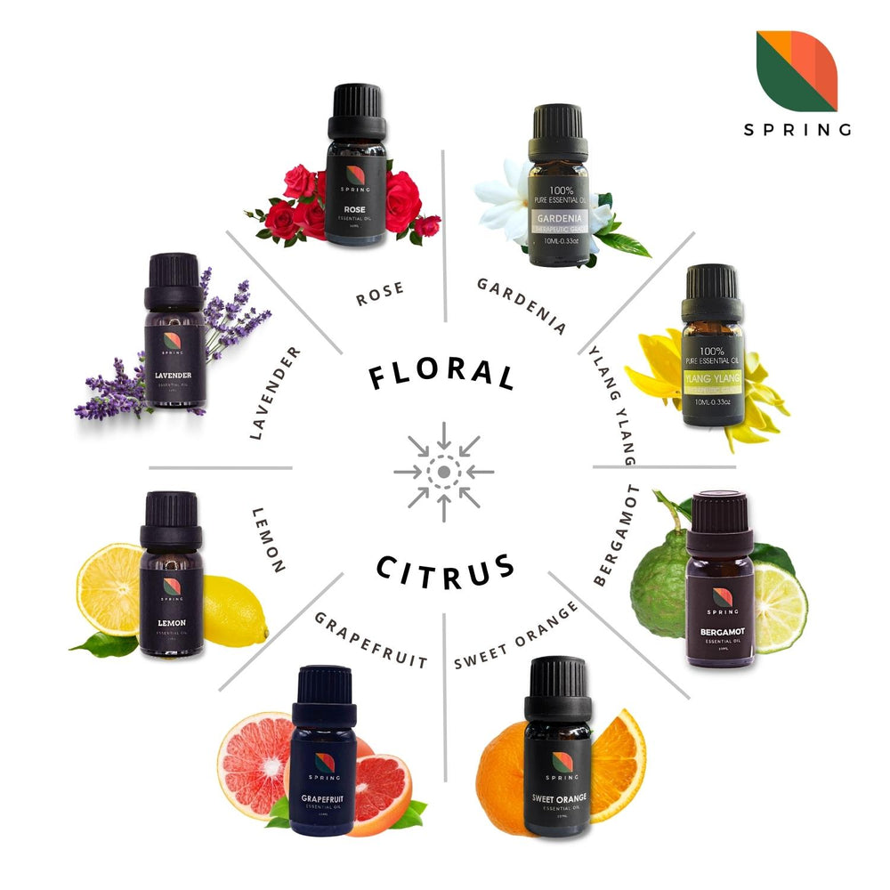 
                  
                    Spring Essential Oil Grapefruit 10mL
                  
                