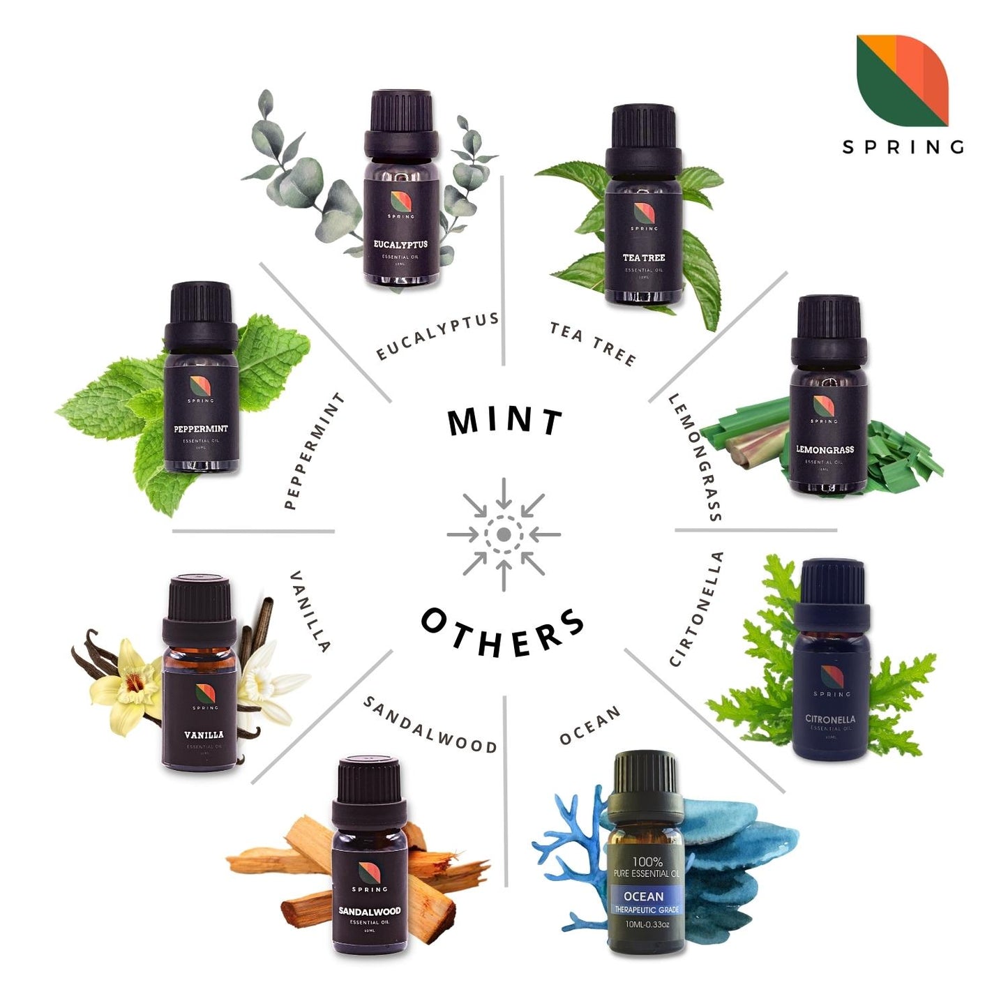 
                  
                    Spring Essential Oil Peppermint 10mL
                  
                